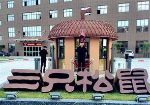 三只松鼠最新爆料新闻,揭秘品牌新动向与市场策略